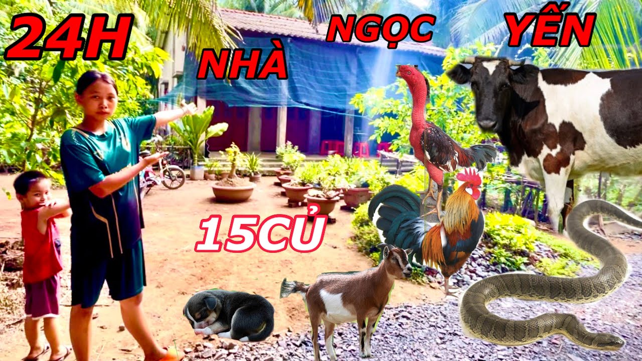 24H Review Cấm Trại Sinh Tồn Nhà Ngọc Yến Sẻ Như Thế Nào