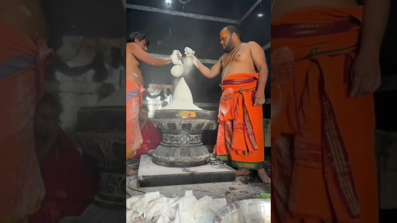 మహాశివరాత్రి రోజున శివలింగానికి విభూతి అభిషేకం 🔱🙏🌺