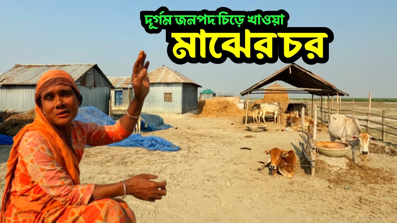 A remote and isolated village in Kurigram, a char in the middle.village life majerchar.