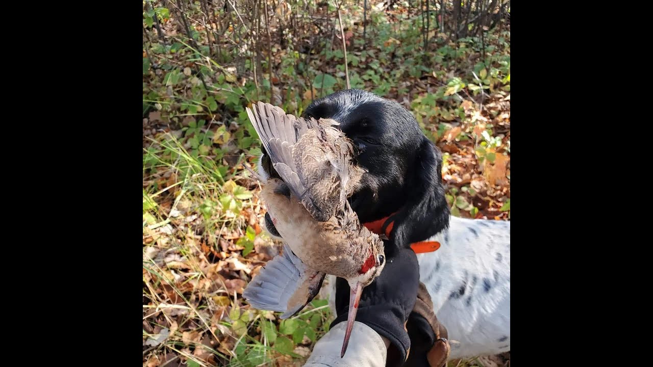 There's a Better Way to Prepare Woodcock!