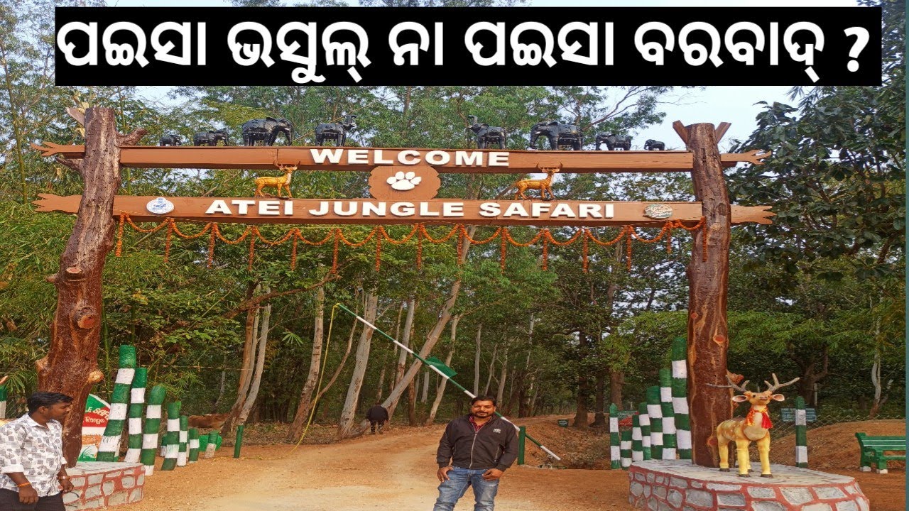 Atei Jungle Safari Ghatgaon, Keonjhar | ଅଟେଇ ଜଙ୍ଗଲ ସଫାରି, ଘାଟଗାଓଁ କେନ୍ଦୁଝର