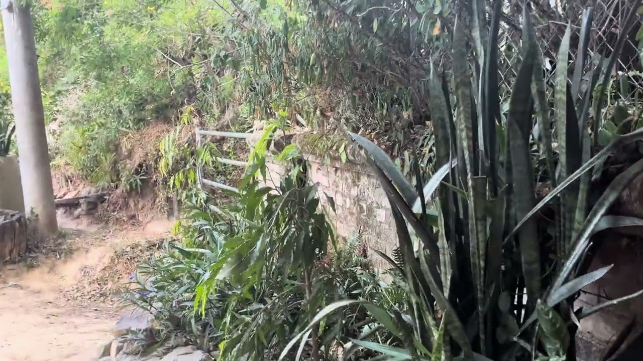Frío en Tichan 