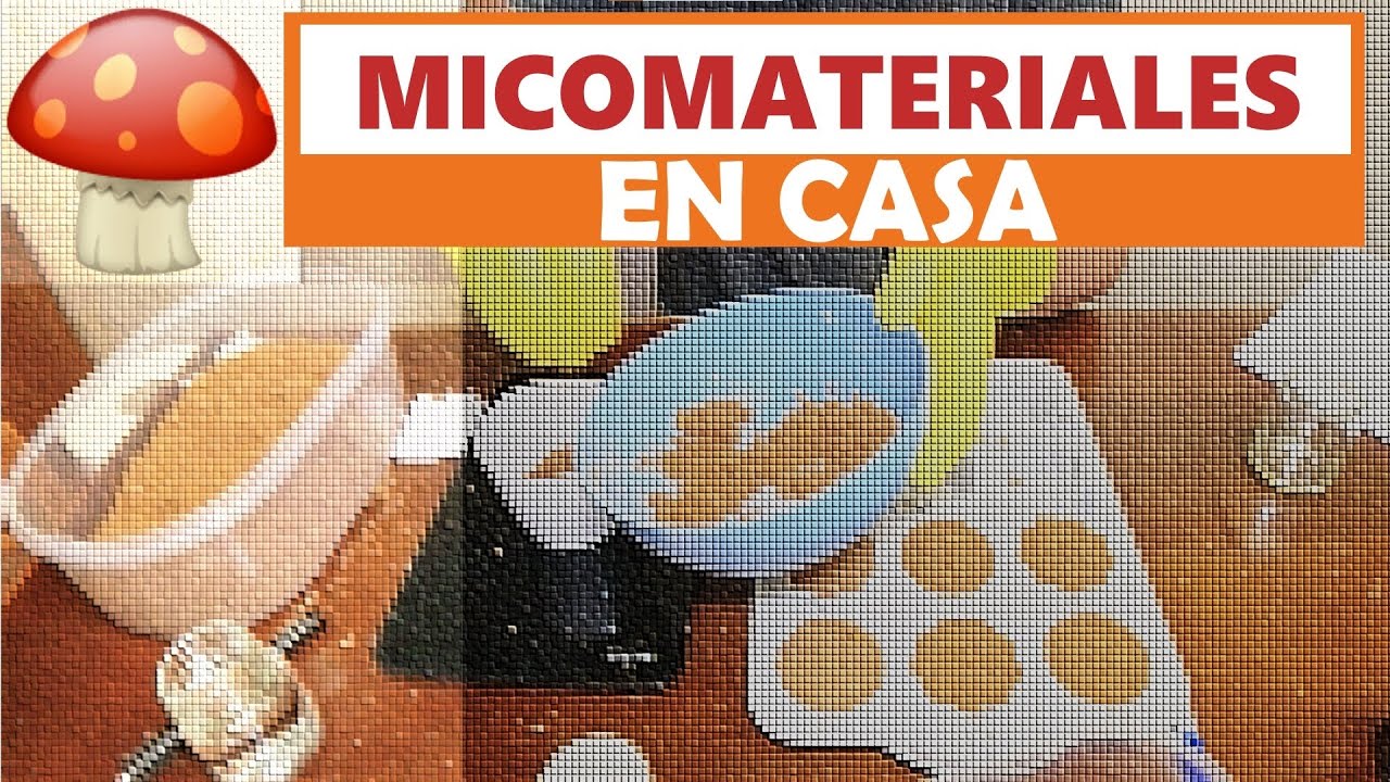 Ganoderma con sustrato no esterilizado |mycomaker