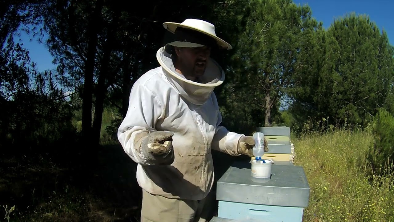 Combate à Varroa