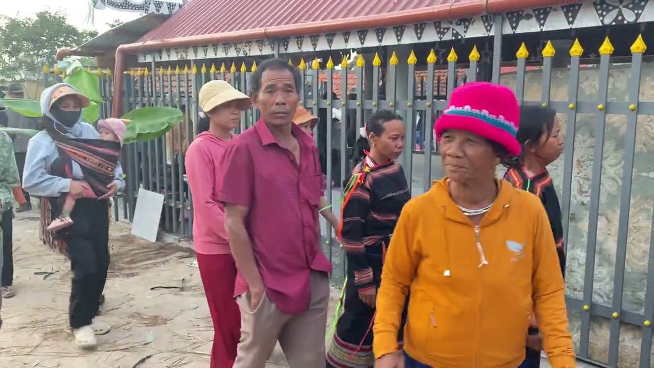 ngày 12 tháng 2, 2026