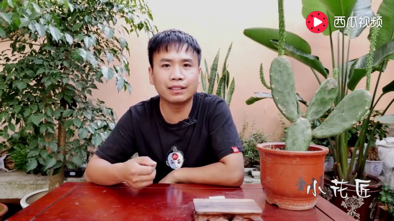 【小花匠】施肥4大禁忌，80%的人不知道，你中了几招