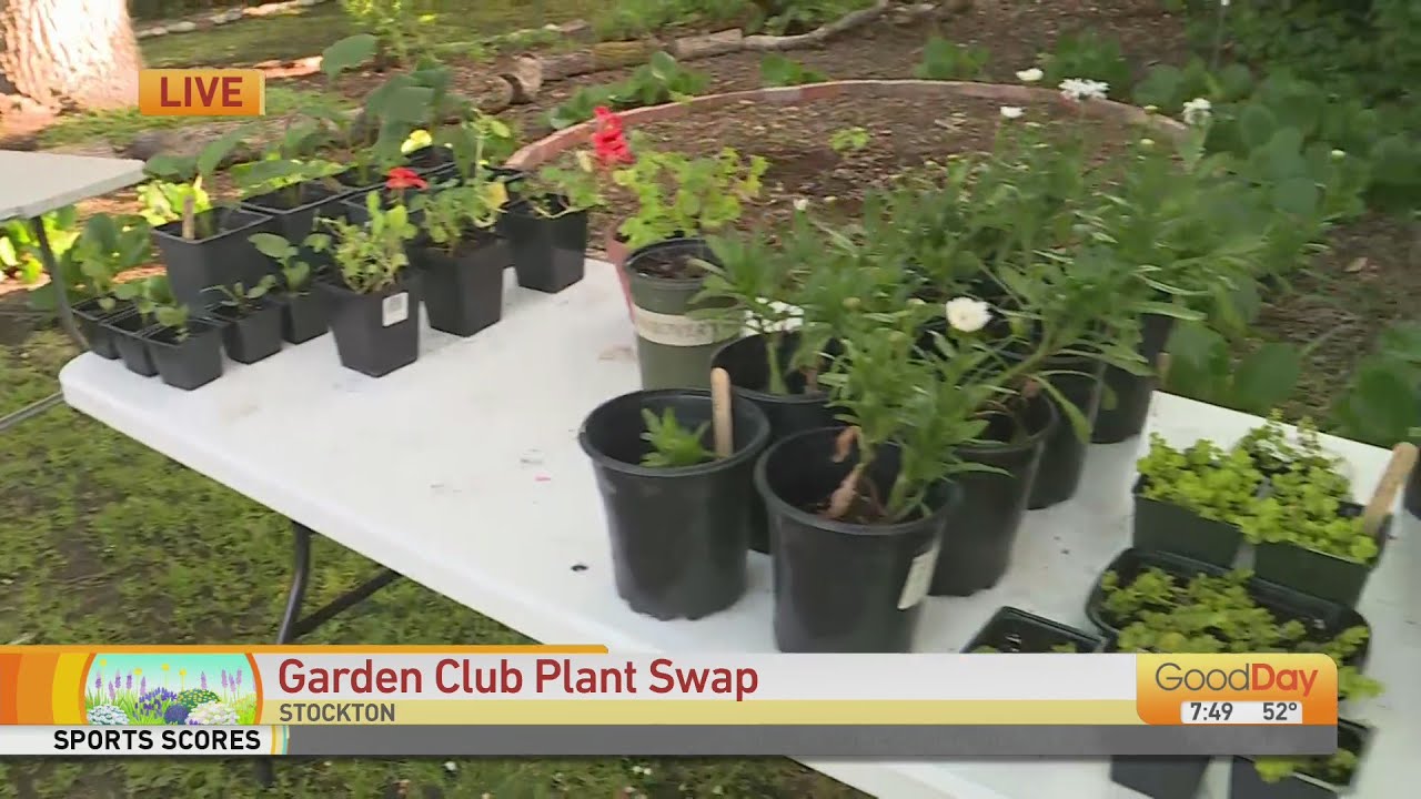 Garden Club Plant Swap