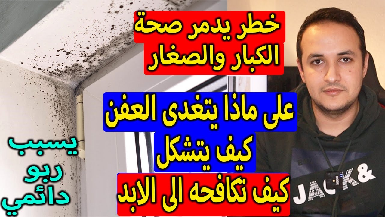 كيف تكافح العفن بمبلغ 2 يورو فقط - ماذا يفعل العفن بصحة الانسان - المنازل التي لايغادرها العفن ابدا