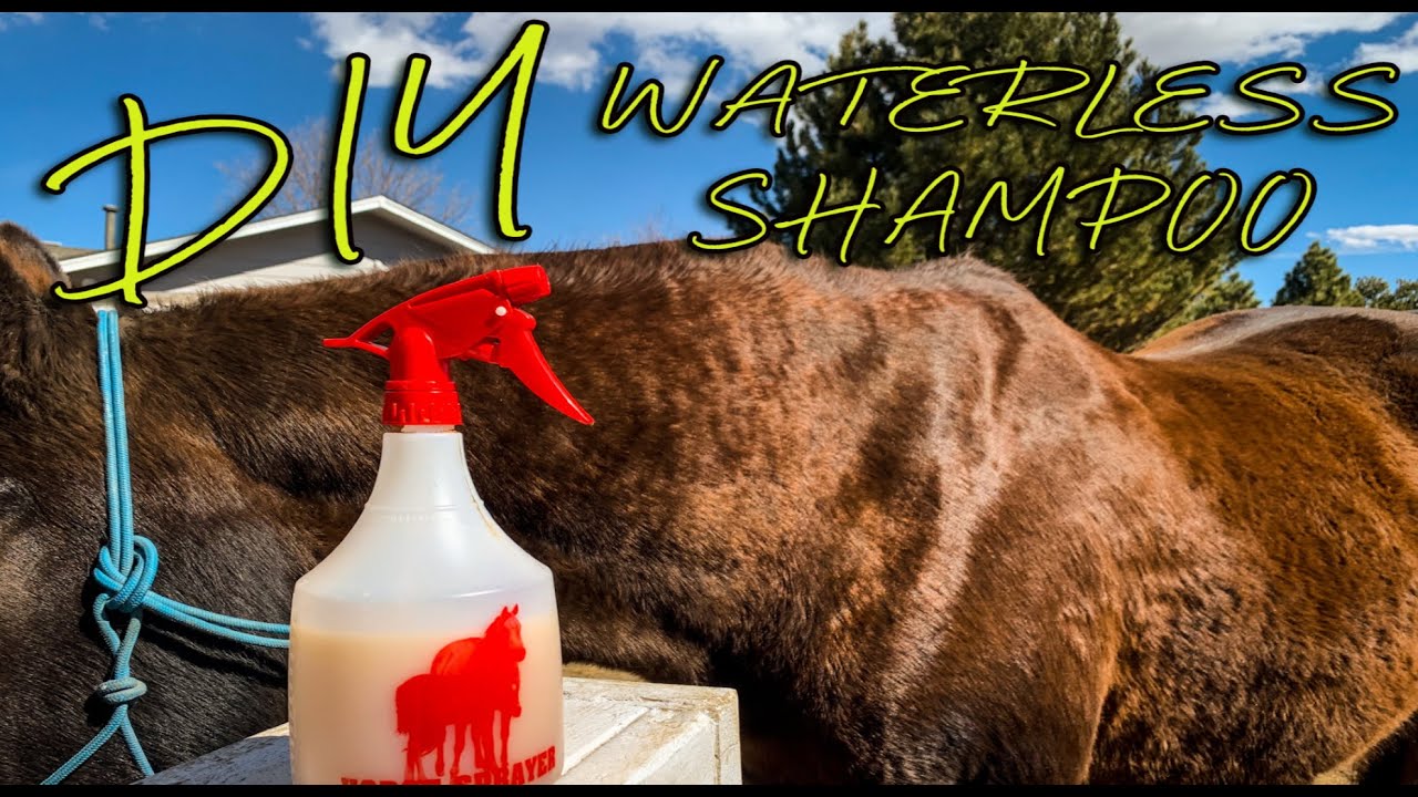 DIY Waterless Shampoo For Horses
