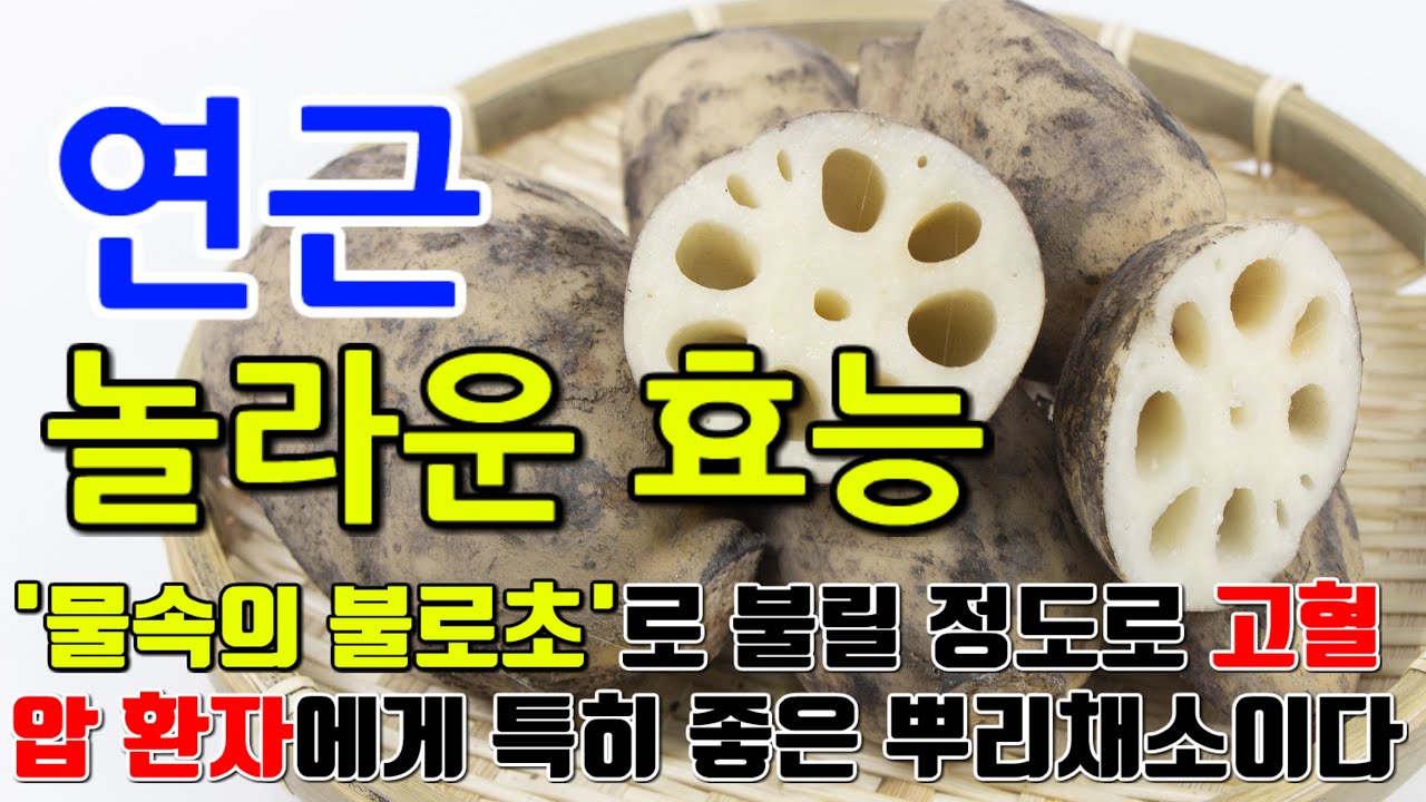 연근의 놀라운 효능 8가지 & 부작용 / 