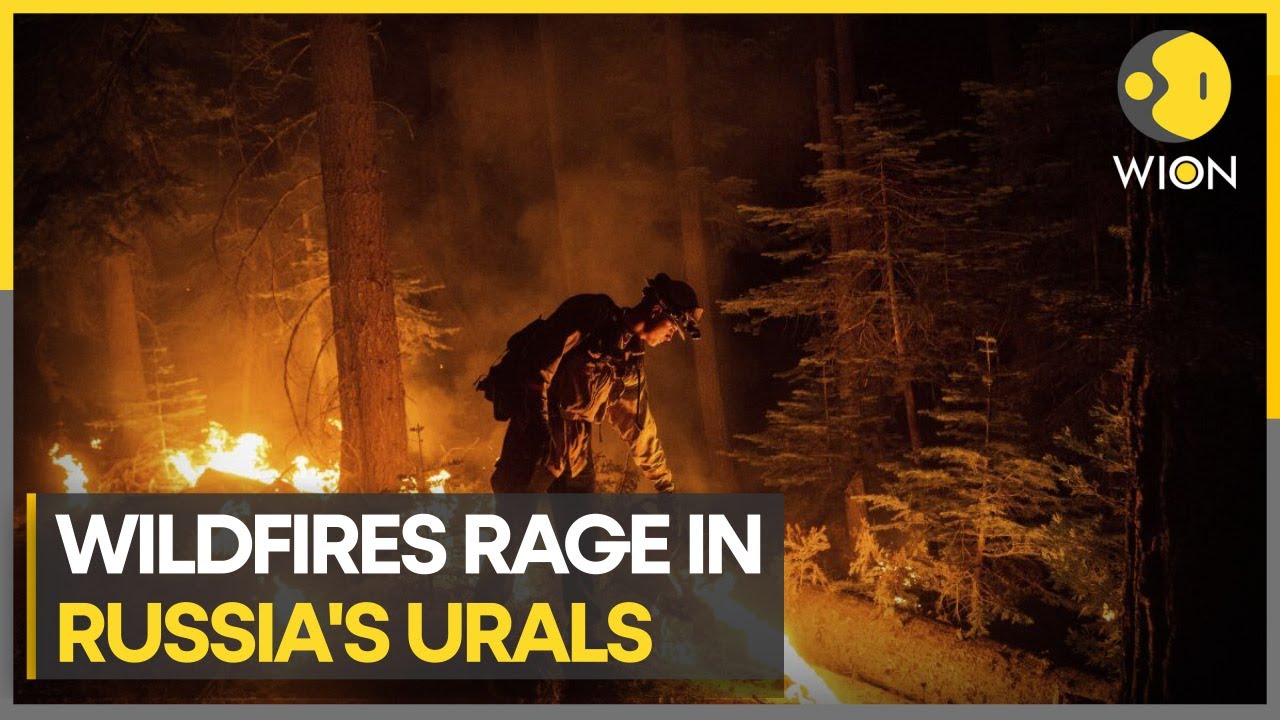At least 21 dead as wildfires rage in Russia's Urals | WION Climate Tracker | Latest English News