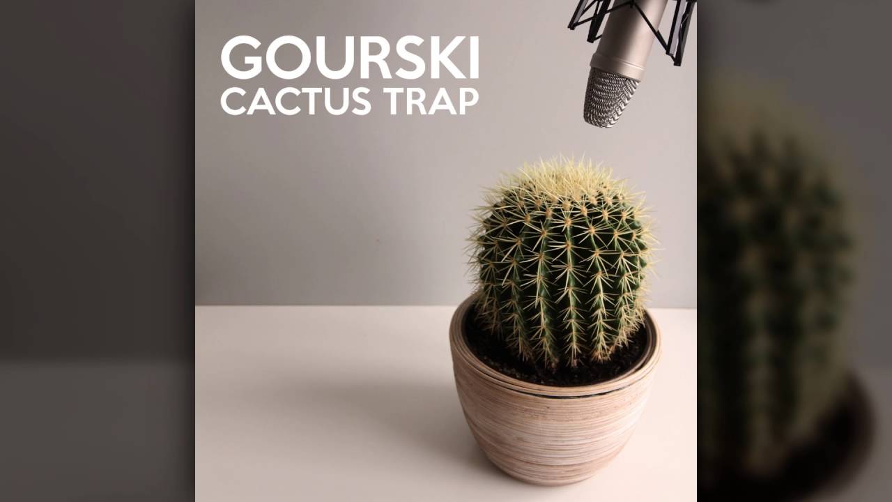 Gourski - Cactus Trap