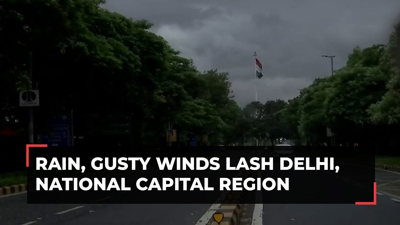 Rain, gusty winds lashes parts of Delhi, National Capital Region