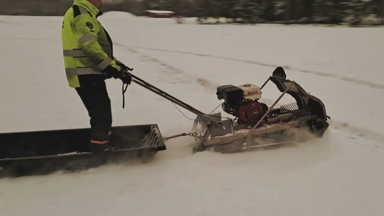 Omavalmiste lumikoira ensitestissä 2023