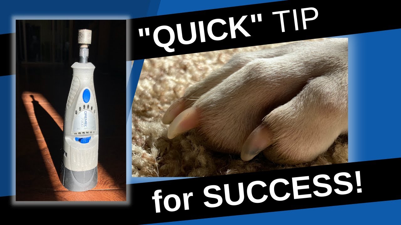 QUICK Tip (Ha) For More Successful Dremeling Sessions