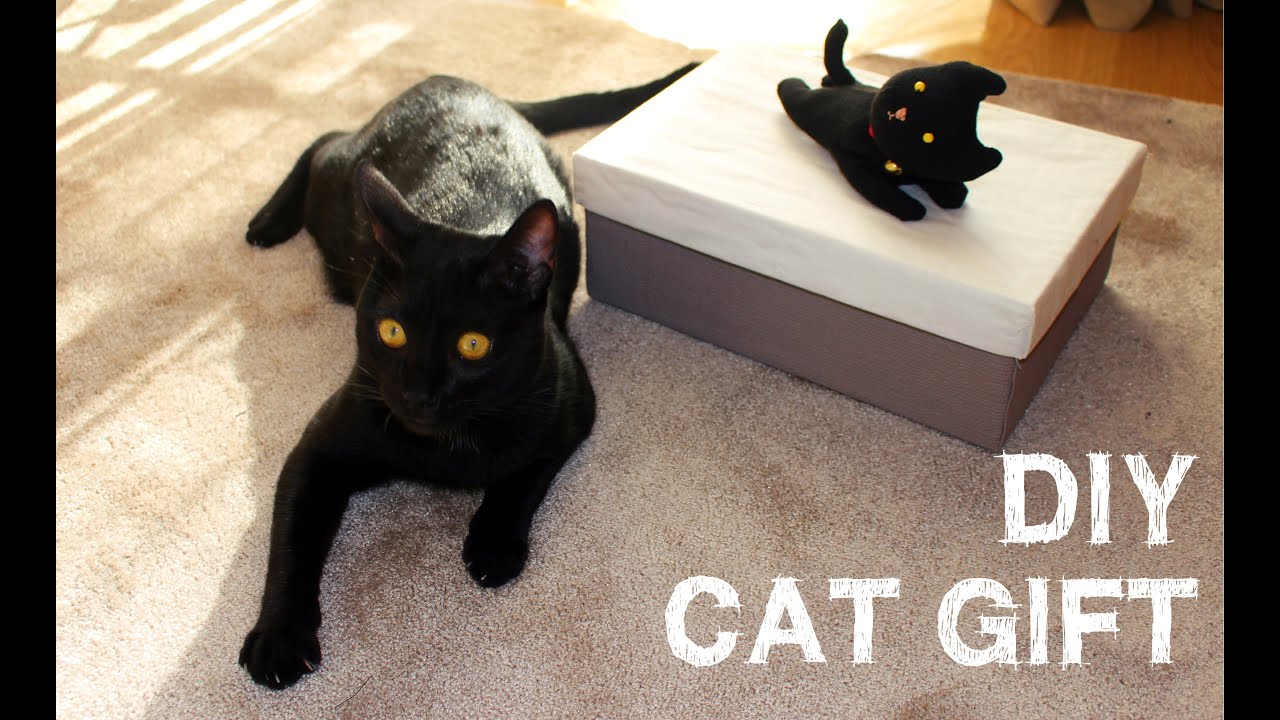 DIY - Cat Gift [Cat Plush + Toy Box]