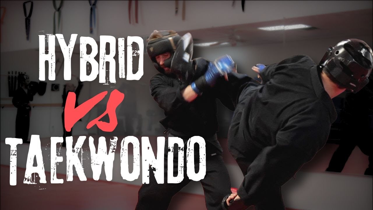 Taekwondo vs MMA Fight! Who Wins?