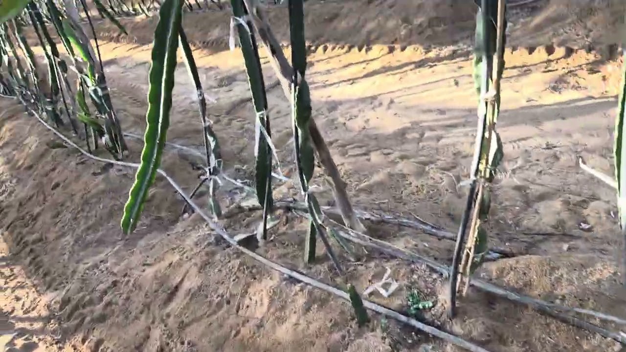 تجهيزات موسم جديد ٢٠٢٦م 