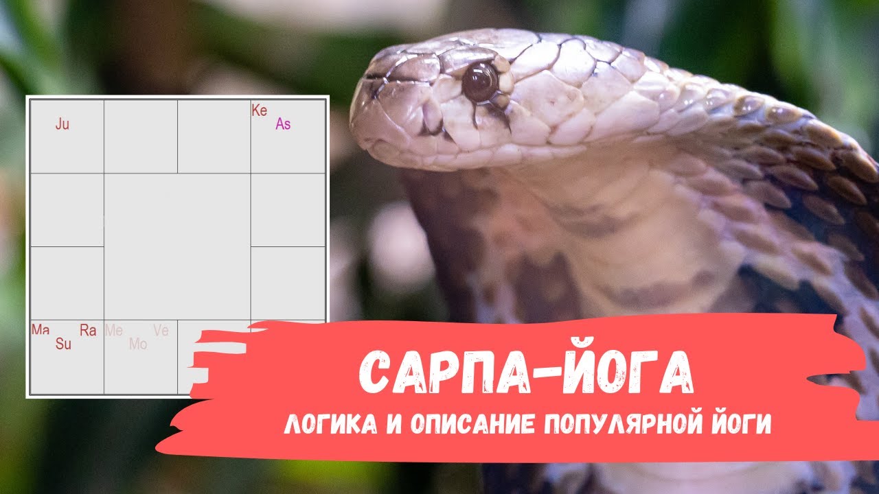 Сарпа Йога в Джйотиш. Джйотиш для начинающих