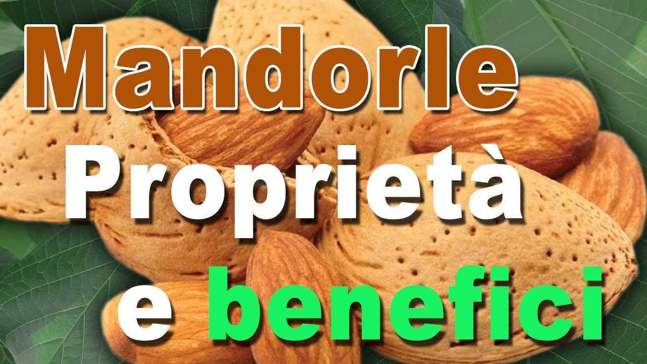 Mandorle: incredibili benefici per la salute | Proprietà, usi e controindicazioni