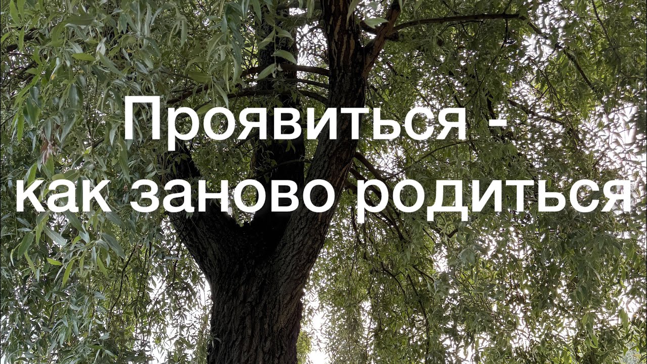 Как почувствовать новое? Когда начинать проявляться в мир?