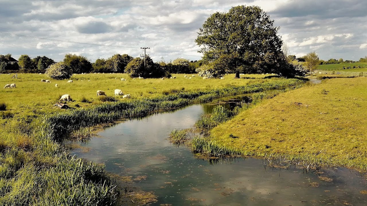 WALKING IN ESSEX | FYFIELD AND WILLINGALE | MY CHILDHOOD HOME