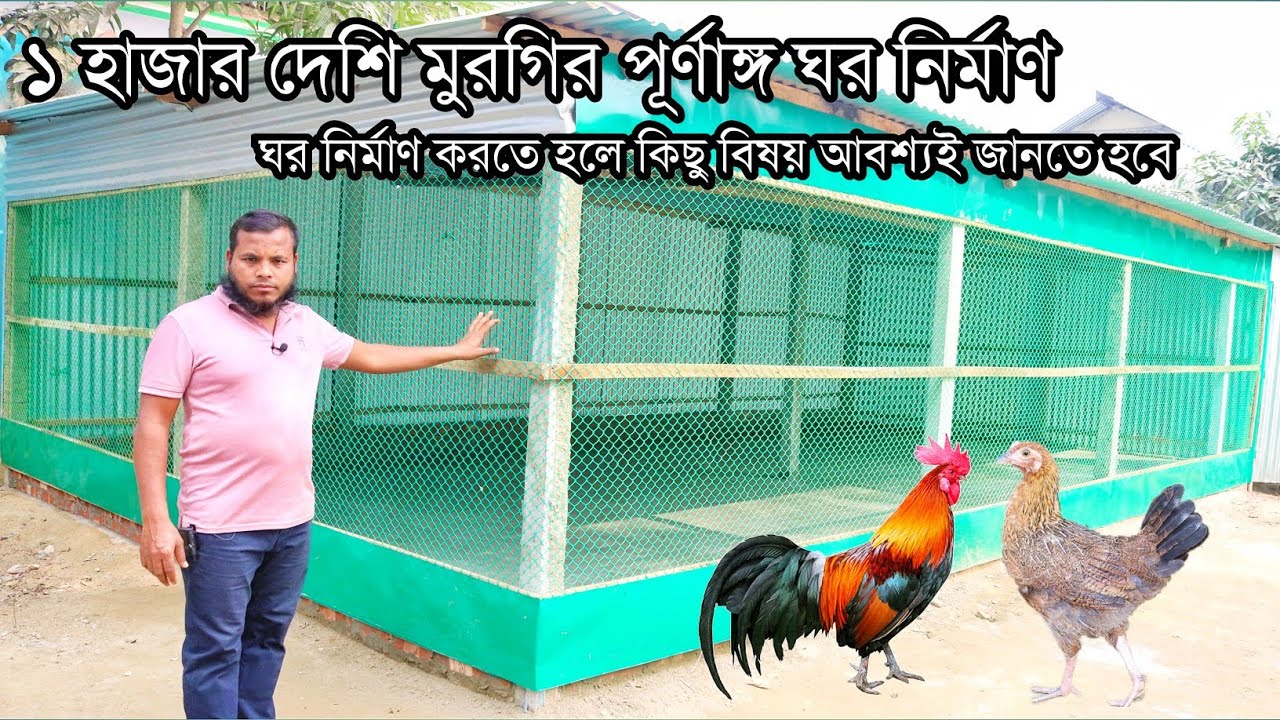 ১ হাজার দেশি মুরগির জন্য সল্প খরচে ঘর নির্মাণ করবেন যেভাবে| ঘর নির্মাণ করতে হলে কিছু বিষয় জানতে হবে🐓