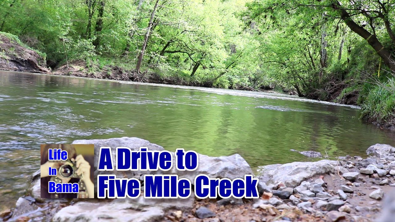Peaceful Place in Brookside with Life In Bama