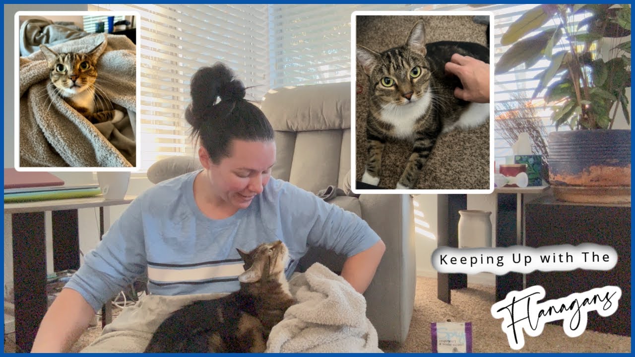 Feline Asthma | Coco's Story & What we are doing! | She says Hi! :)