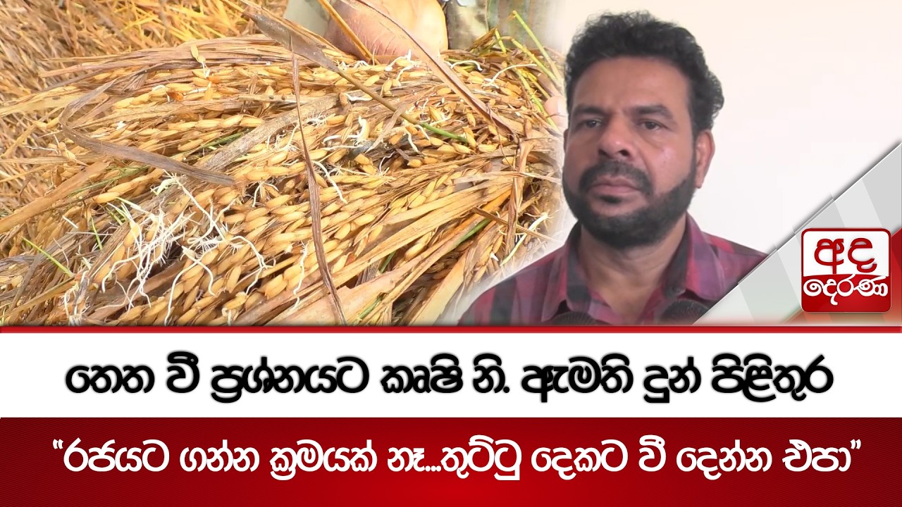 තෙත වී ප්‍රශ්නයට කෘෂි නි. ඇමති දුන් පිළිතුර | Ada Derana
