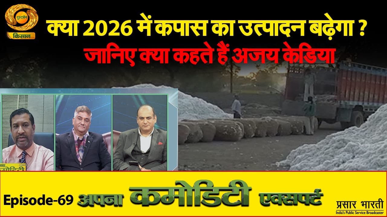 Apna Commodity Expert: क्या 2026 में कपास का उत्पादन बढ़ेगा ?  जानिए क्या कहते हैं अजय केडिया |