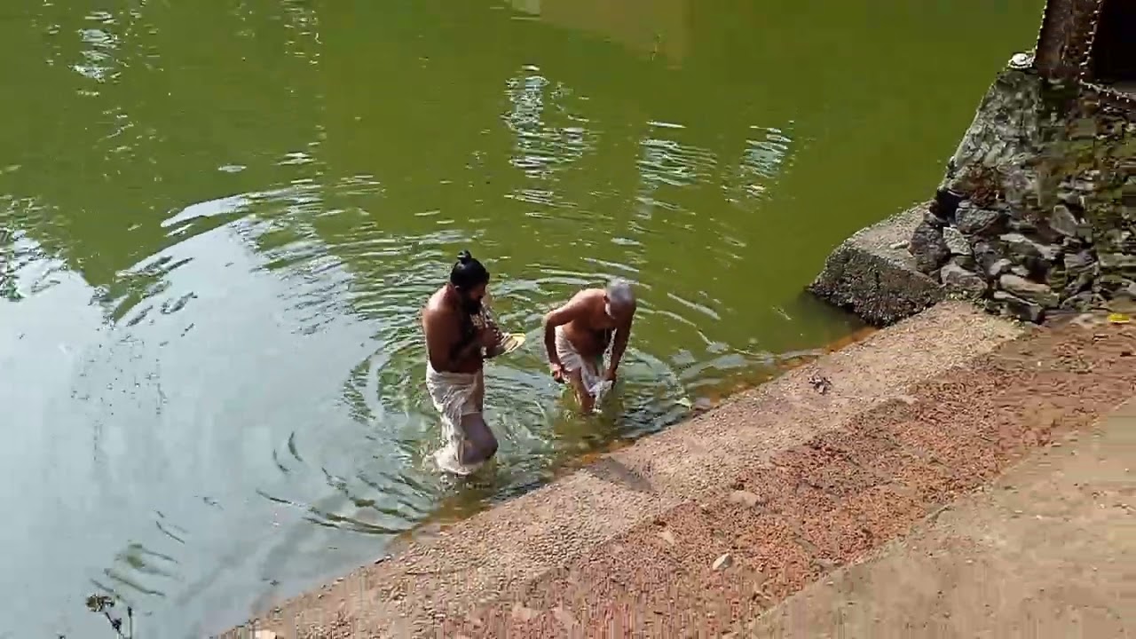 മൃദംഗശൈലേശ്വരി പൂരാഘോഷം