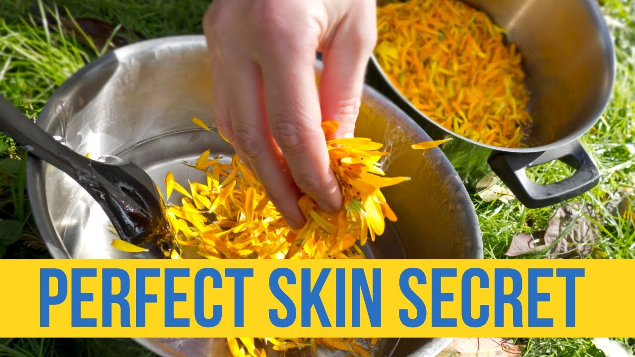 😲 Calendula flower for skin: The Untold Secrets They Won't Tell You