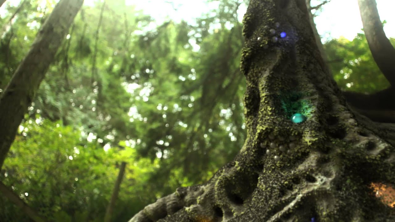 LIQUID STRANGER - The Gargon (OFFICIAL VIDEO) from 