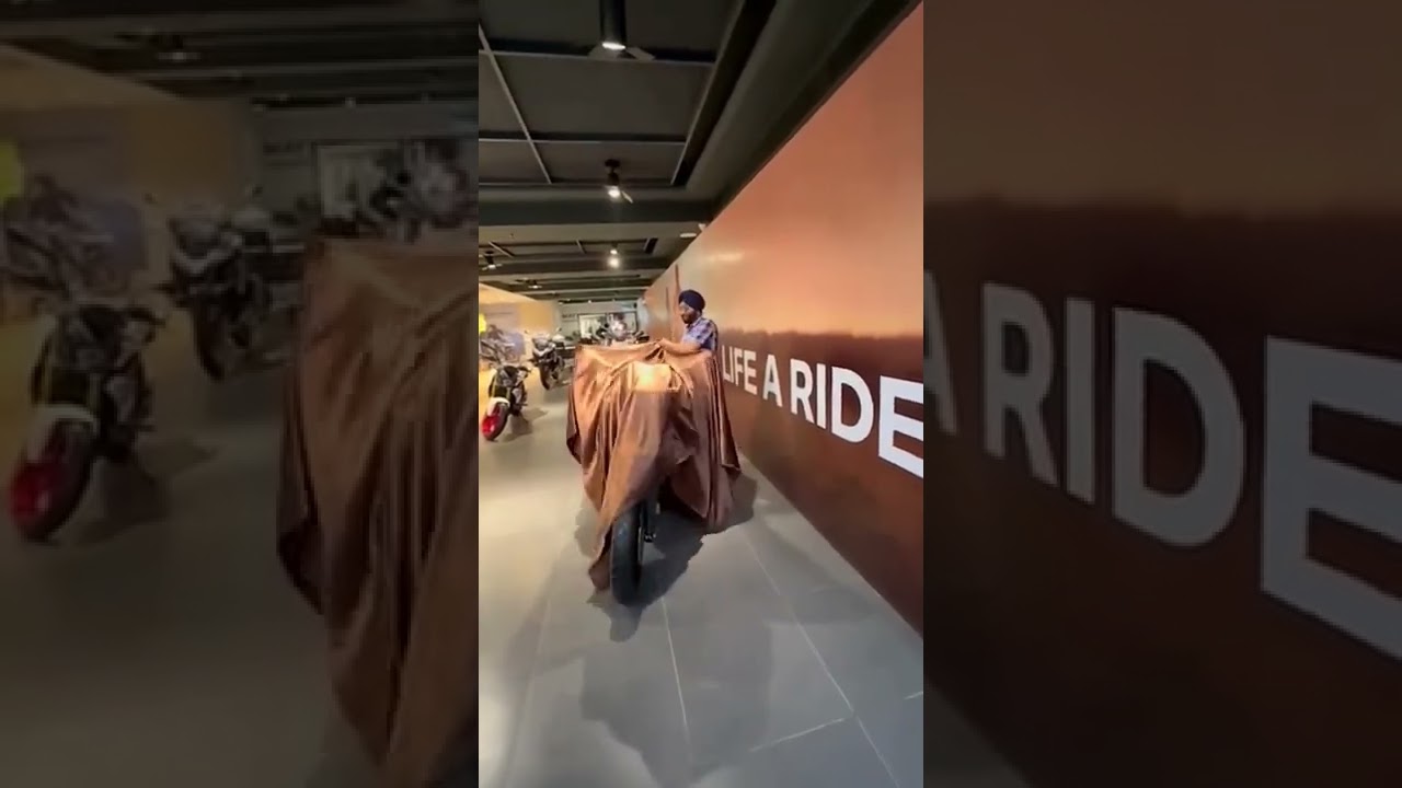 #borntoshine