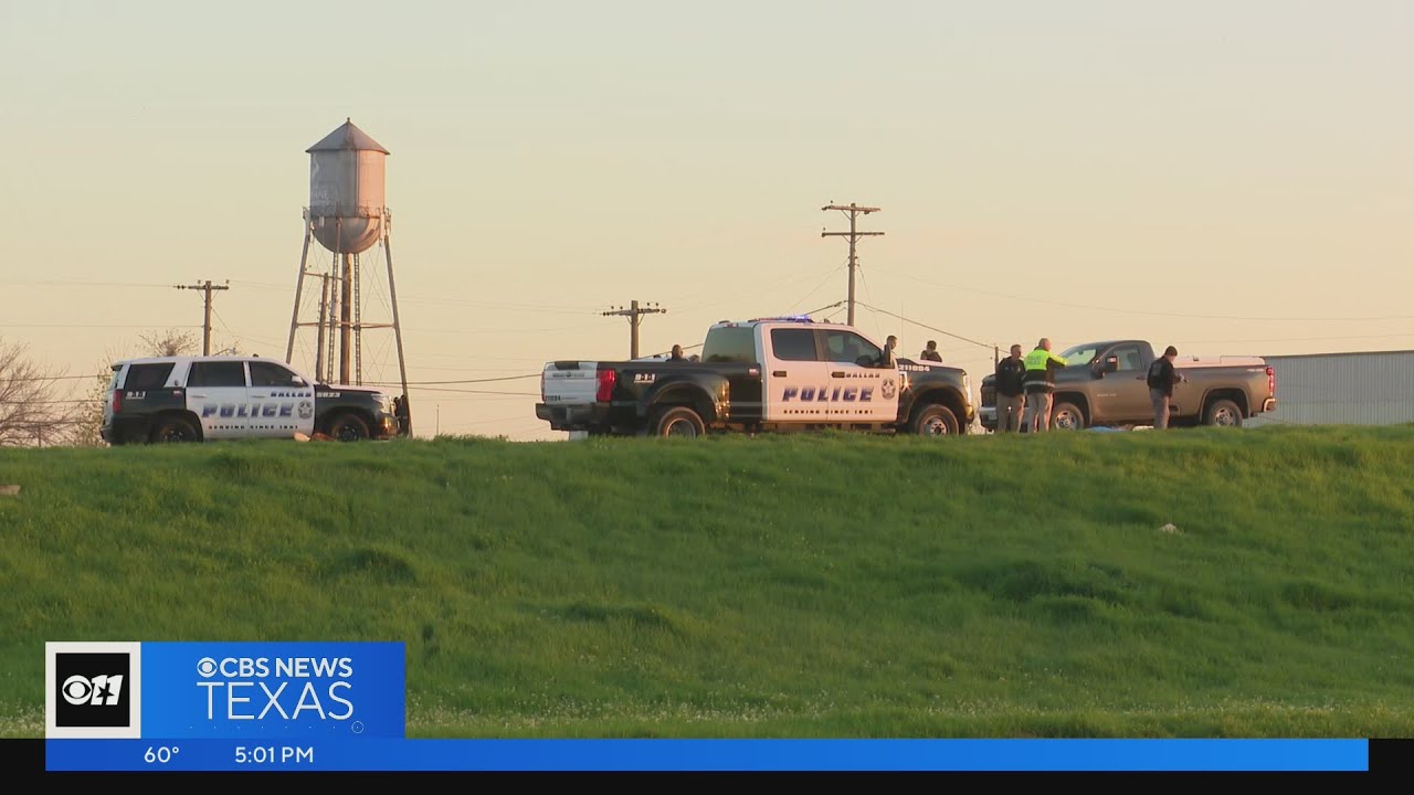 1 dead, 2 injured in car crash involving stolen horses