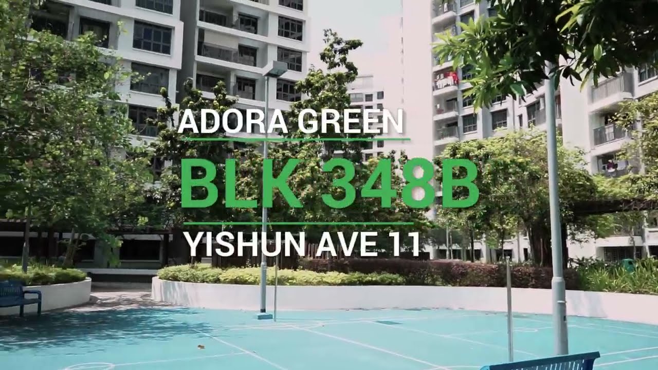 Adora Green (Blk348b):  3 Room DBSS | 66sqm | Yishun | Singapore Home Tour | Sold by Patrick Lee