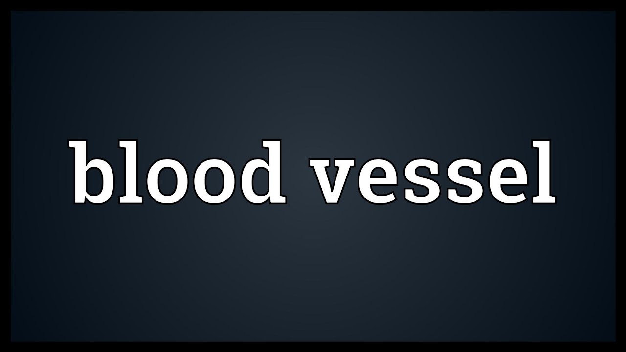 Blood vessel Meaning