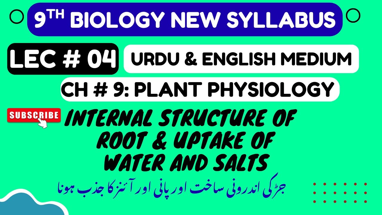 Internal Structure of Root and Uptake of Water and Salts |Class 9 Biology Chapter 9 Plant Physiology