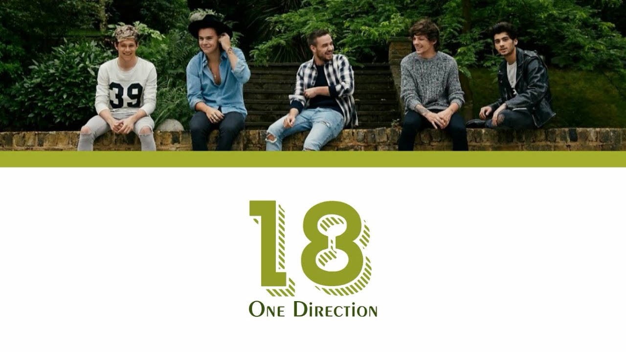ONE DIRECTION - 18 lyrics (Color Coded)