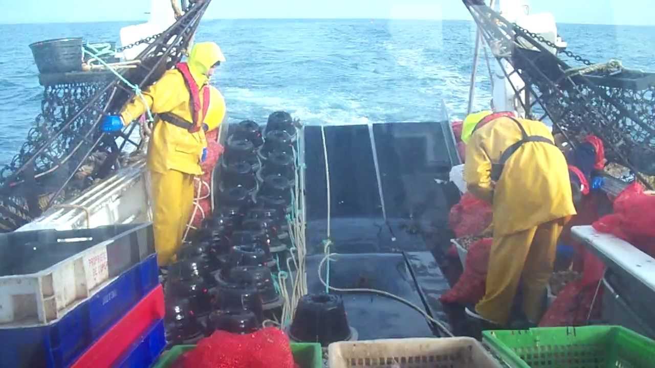 casiers a bulots sur L'INTREPIDE d'Erquy