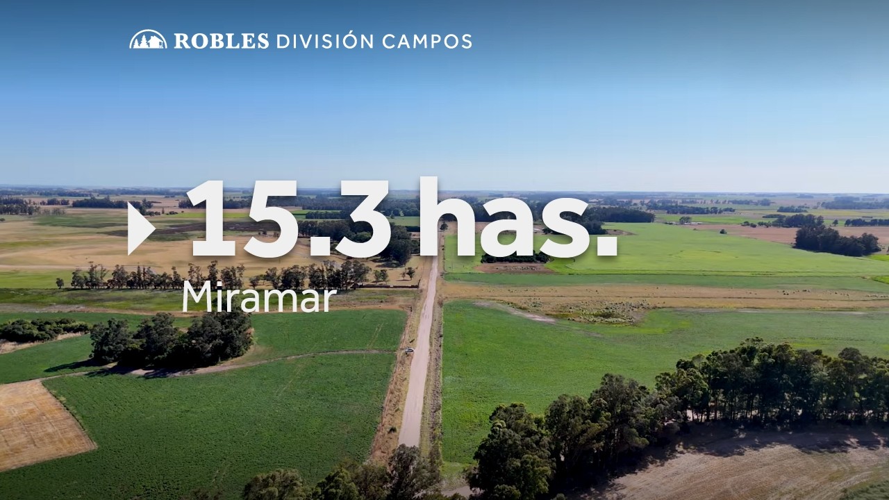 Miramar - 15.3 has