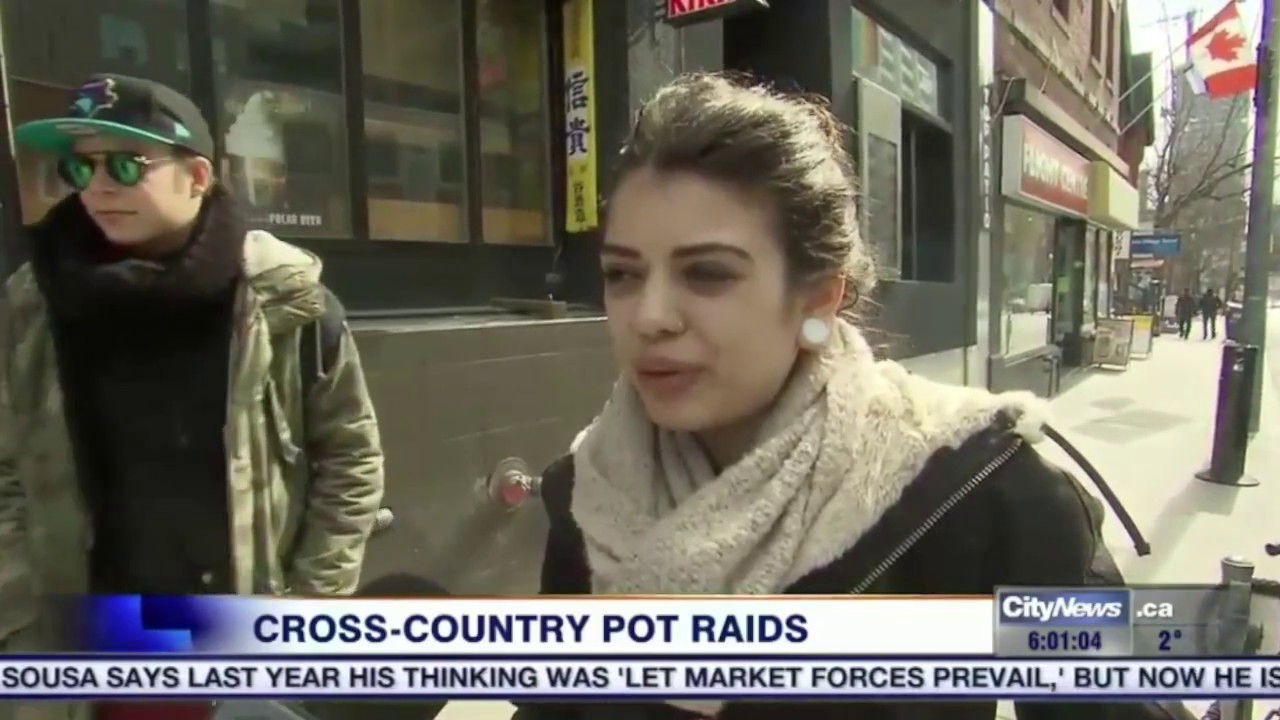 City News - Cannabis Culture Raid
