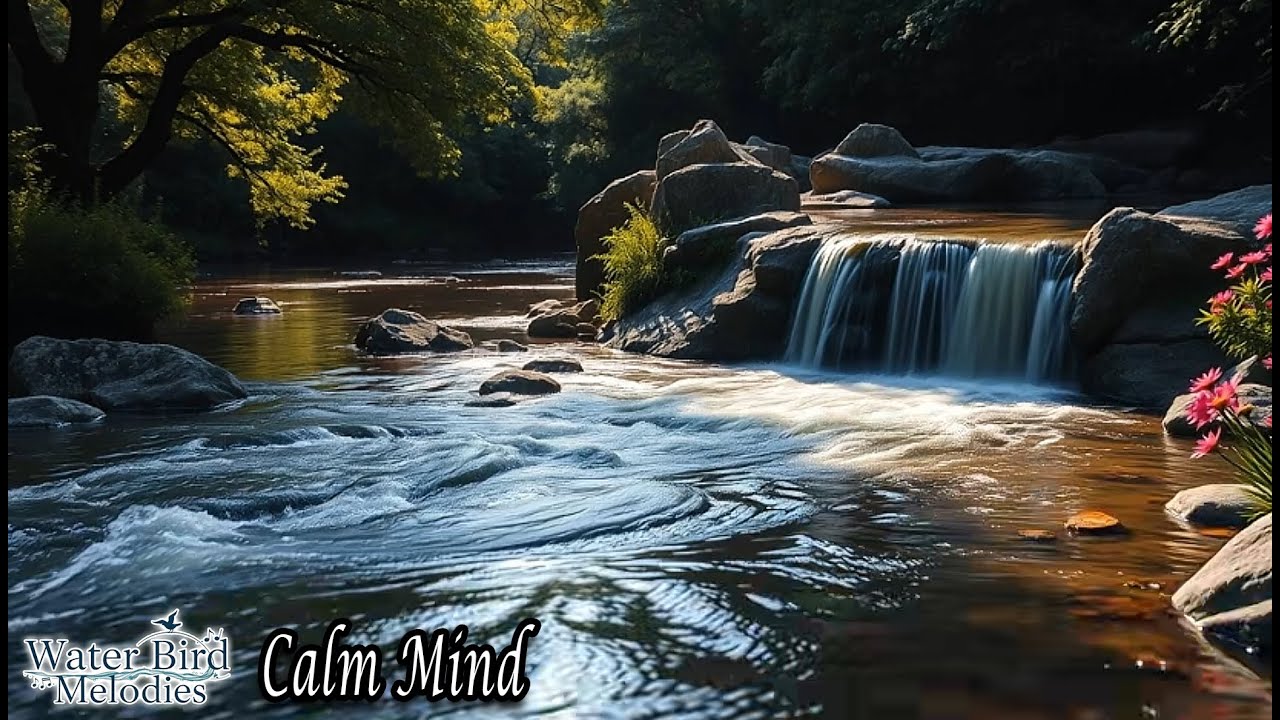 Serenity Soundscape 🌿 Instrumental Music with Birds Sounds for Deep Sleep, Study, Stress Relief