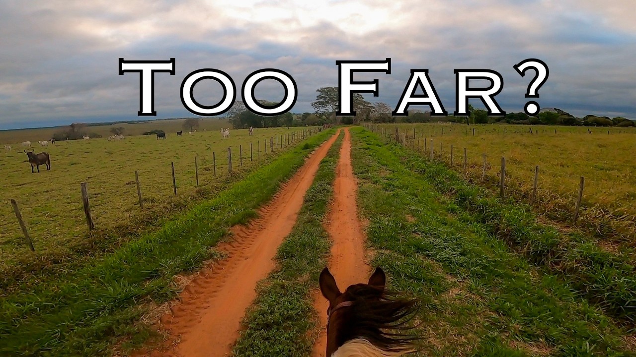 10km TRAIL RIDE On The WILD HORSE | Taming a Wild Horse  [EP 28]