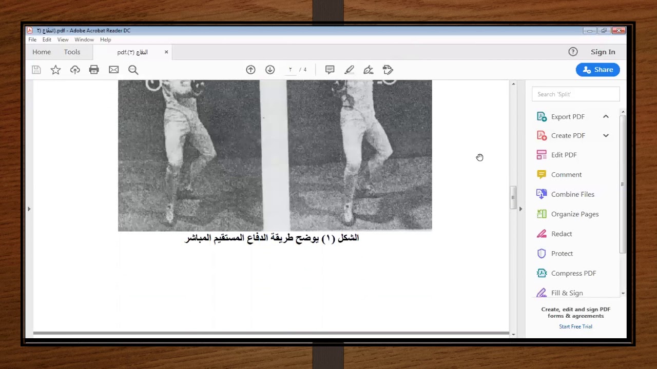 انواع الدفاع