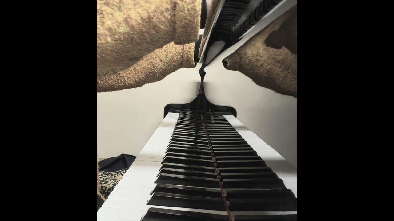 F.Poulenc  :即興曲第13番⇨S.Rachmaninov:  前奏曲Op.32-5