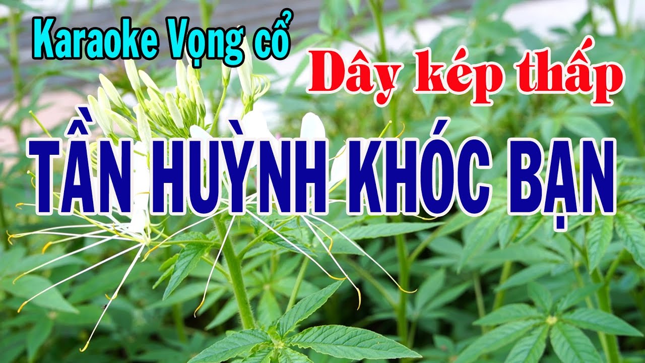 Karaoke vọng cổ TẦN HUỲNH KHÓC BẠN - DÂY KÉP THẤP