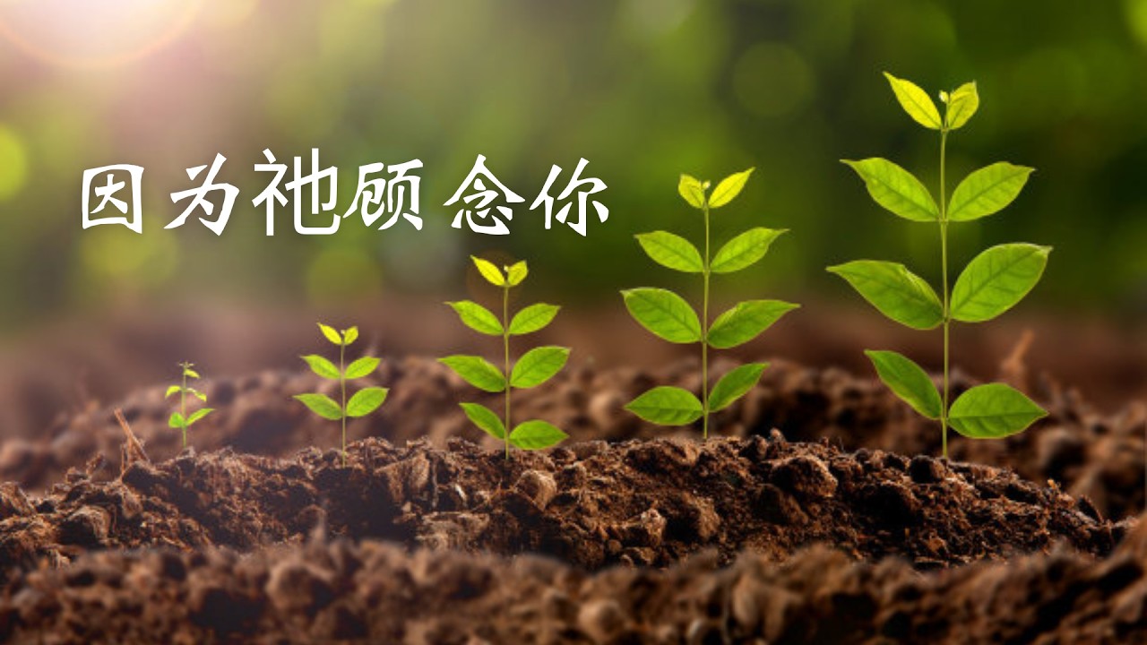 2022.5.1 慕斯分享《因为祂顾念你》