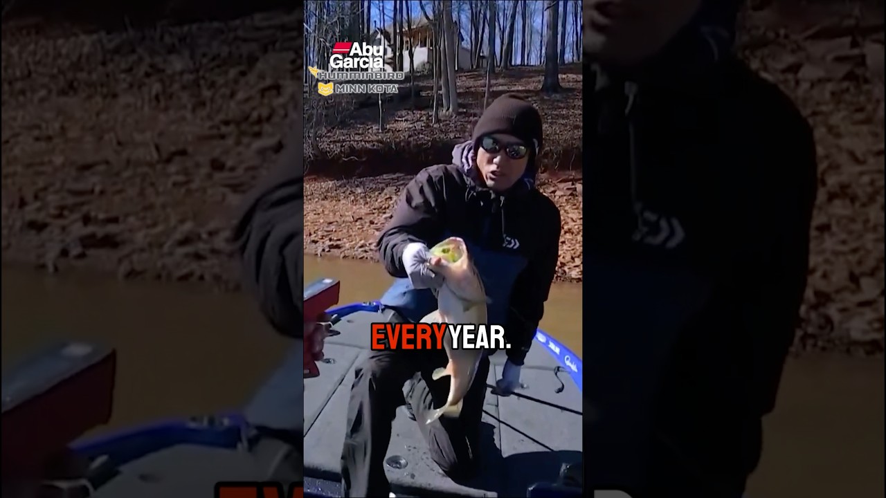 Лучшая приманка ChatterBait может оказаться совсем не такой, какой вы её себе представляете&hellip; #бас...